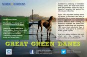 Great Green Danes - Nordic Horizons